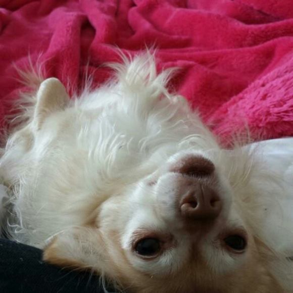 Meet your Posher, Faye - Picture 1 of 1